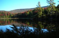 Wilsons Pond